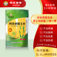 邻家饭香 LJFX24-Y 东北鲜食黄糯玉米 200g/穗 2穗/袋 黑土地黄金玉米带种植