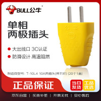公牛 单相两极插头(可拆插头) 10A 250V 摔不烂 GNT-10L4