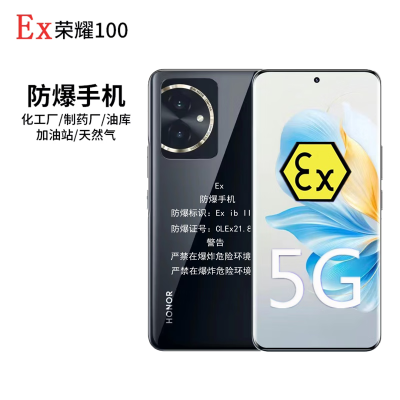 荣耀(honor) 荣耀100/Pro 防爆EX5G工业防爆16+256GB