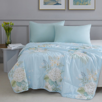 梦洁家纺 艾草抗菌夏被 瑞梦150*200cm