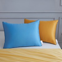 梦洁家纺 枕芯枕头tg 抗菌臻丝对枕:瑞梦