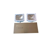 顶火 GMD9501-G 应急照明灯具 (计价单位:盏) 白色