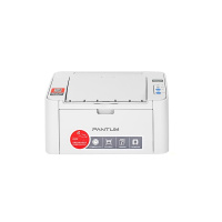 奔图(PANTUM) P2206NW A4幅面 黑白激光打印机 (计价单位:台) 白色