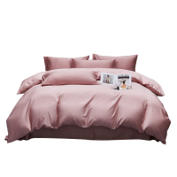 伊伊爱 TJ0MB02302049 50S莱赛尔棉御芙锻轻磨毛四件套 200*230cm