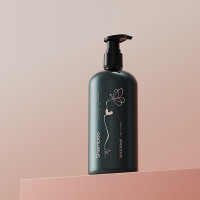 创漾(CHUANGYANG) CN3002 500ml(溪畔听风) 四季物语臻萃氨基酸洗发露 (计价单位:瓶)