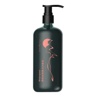 创漾(CHUANGYANG) CN3001 500ml (四季元气) 四季物语臻萃氨基酸洗发露 (计价单位:瓶)