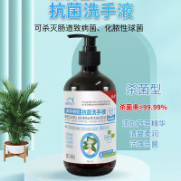 洗得宝抗菌洗手液 480ml/瓶 茉莉花香抗菌水洗洗手液 棕色