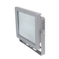 华荣(WAROM) GT311-XL60IIA 60W、IP66、AC220V、光源色温5000K、LED 投光灯具 (计价单位:个) 灰色