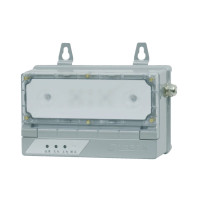 华荣(WAROM) HR-ZFZD-E5W-4(应急时间4小时)照明 应急灯 (计价单位:盏) 银色