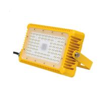 尚为(SEVA) SZSW8176-30 30W IP68 Ex nR IIC T6 Gc AC220V 5700K LED LED通路灯 1.00 个/盏 (计价单位:盏) 黄色