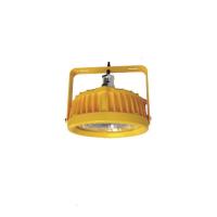 尚为(SEVA) SZSW8125-20F 220V 20W IP66 Ex d IIC T6 Gb AC220V 光源