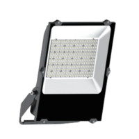 富氏照明 ace led投光灯