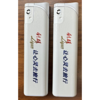 新海 一次性恒流阀 (斜打式)打火机 10个/盒