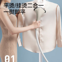 苏泊尔(SUPOR) 蒸汽挂烫机家用大功率单杆立式手持挂式电熨斗服装店烫衣服熨烫机 多档智能精控GT19AP-20