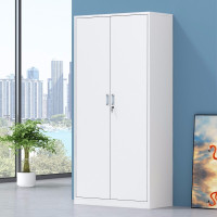 边碧 文件柜办公柜钢制铁皮资料柜实验室档案柜储物柜财务凭证柜