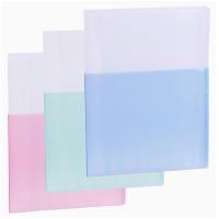 得力(deli) 5077 资料册 A4半透明插袋资料册收纳 60页 蓝色 单个装