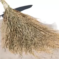鑫缇乐 扫把 竹扫把 3.5斤带叶竹枝连体