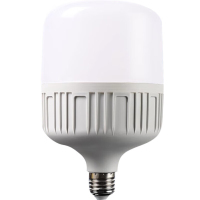 中锐智采 节能灯泡 60W