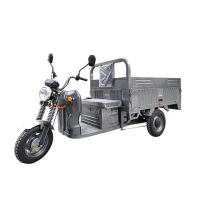 大安.罗纳多 力剑 电三轮 1.5*1米 专用60伏32安电池 5块电池 银色