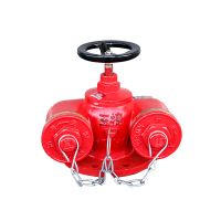 潍消 潍消 多用式地上水泵接合器 SQD100/1.6Mpa