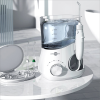 博皓(prooral) 电动智能冲牙器家用台式洗牙器水牙线600ml大水箱口腔专用洁牙器 5102白色