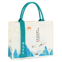 中锐智采 定制创意帆布袋 YC003 12安涤棉、丝绸、立体定型工艺 200*100*310mm