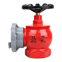 鼎梁(DL) 室内消火栓 SN65/1.6Mpa
