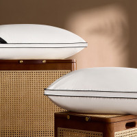 企乐丰 瑞士抗菌羽绒枕 优质白鹅绒枕头枕芯 单只中枕