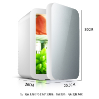 先科(SAST) 8L 电子冰箱车载冰箱 迷你小冰箱 礼品冰箱 化妆品母乳牛奶冷藏 半导体制冷 家车俩用 银色玻璃门