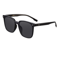 海俪恩太阳镜男新款时尚大框韩版潮开车墨镜N6950 N06深灰色镜片+亮黑框