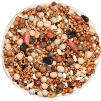 中锐智采 品营养鸽粮 肉鸽观赏鸽信鸽赛鸽元宝鸽幼鸽饲料种鸽子粮 鸽粮有玉米50斤