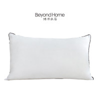 博洋家居(BeyondHome) WT912307017Z 羽丝绒 枕头 (计价单位:件) 白色