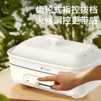 古菲斯(GUFIUS)多功能防干烧家用电蒸锅 GFZG-21B2