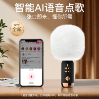 唱吧 小巨蛋麦克风G3升级版