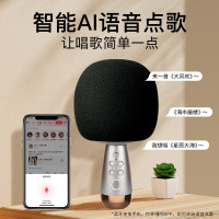 唱吧 K歌宝小巨蛋麦克风G2 Pro 灰金色