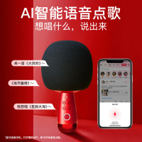 唱吧 小巨蛋麦克风G2-升级版 绯红色