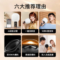 唱吧 K歌宝小巨蛋麦克风 G3 黑金色