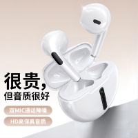 领臣(licheers) 无线蓝牙耳机入耳检测+蓝牙5.3+秒连 立体声音乐蓝牙耳机 H77