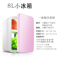 先科(SAST) 8L电子冰箱 车载冷暖箱 迷你 化妆品母乳牛奶冷藏 半导体制冷 家车俩用环保材质 少女粉