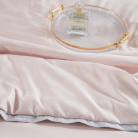 金丝莉(kintheri) 雪蚕柔肤被 JB-1316