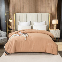 金丝莉(kintheri) 黄金蚕丝被 JB-1206 200*230cm 1.5kg