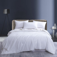 金丝莉(kintheri) 棉小柔蚕丝复合被 JB-1293 200*230cm