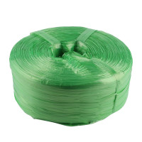 赛拓 2025 大盘塑料绳 打包绳(尼龙捆扎绳)(绿色)2.5KG