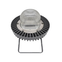 立华王 LH8200-D 60W IP65 电压AC220V 光源色温5700K LED平台灯 (计价单位:个) 银灰色