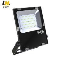 立华王LH6500-A 50W IP65 电压AC220V 光源色温5700K LED工作灯 (计价单位:个) 黑色