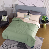 迪士尼(DISNEY) 7星级体感控温被 DDM14-2023A 200x230cm(±3cm) 保暖春秋被宿舍被芯