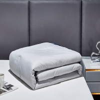 迪士尼(DISNEY) 中纺超声波抑菌羊毛被 DDM02-2023A 200x230cm