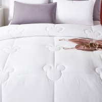 迪士尼(DISNEY) 牛乳蛋白纳米被 200x230cm(±3cm) DDM13-2023C