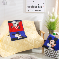 迪士尼(DISNEY) 3D幻彩抱枕被(炫彩版)DBM02-4040B 110x150cm (±3cm)