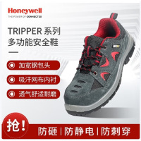 霍尼韦尔 霍尼韦尔G110过滤盒 一对